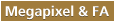 Megapixel and FA